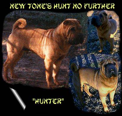 Hunter